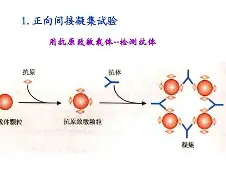 游体育官网-包含?j?B?膞蹶Y/客襜0罕}?6槱???E	籑vLP現aT钄?宍^趂?€e?蔡Rjh?